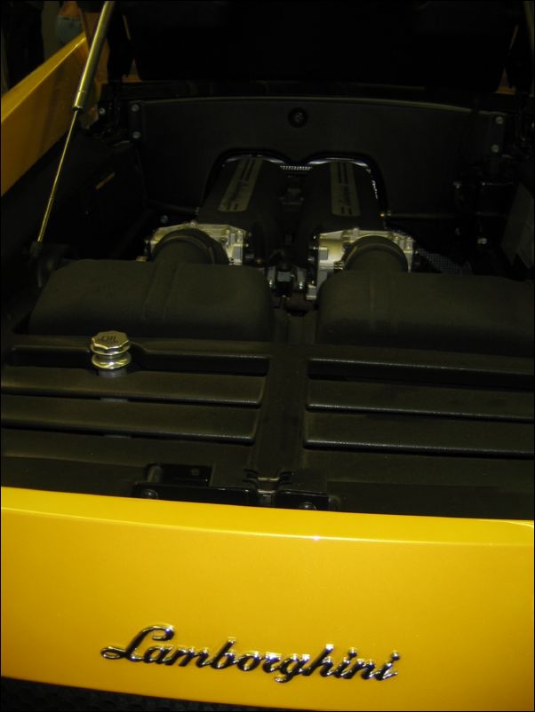 IMG_5650