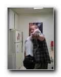 Click to enlarge